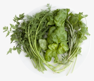 Hydroponic Herblicious Chef #7963398