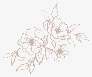 Mini Illustration Light Rose High Res - Honeysuckle #7966924