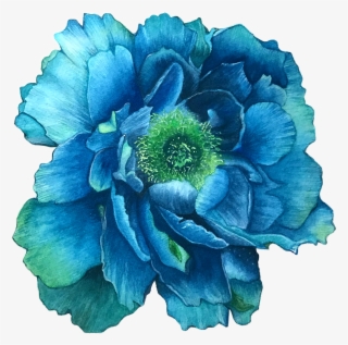 Save To Collection - Star Thistle #7967039