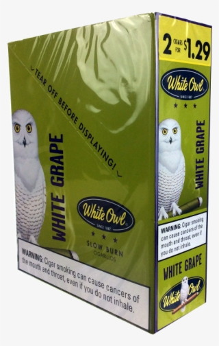 Quick View - African Grey #7968022