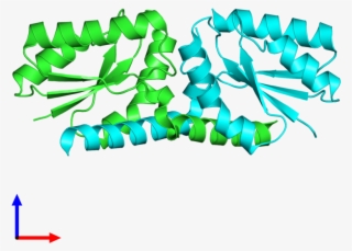Pdb 3lyh Coloured By Chain And Viewed From The Front - Graphic Design #7968385