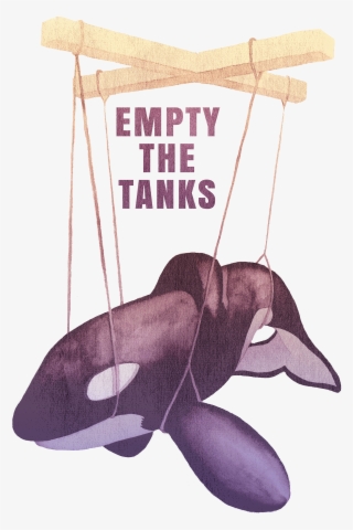 Sign Up To Join The Conversation - Killer Whale #7972540