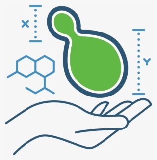 Xylogenics Is A Premier Innovator In The Bio-chemical - Yeast Draw #7974055