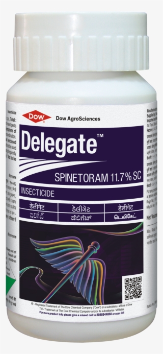 Category - Dow Delegate #7974088