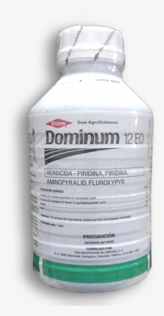 Dominum - Bottle #7974595