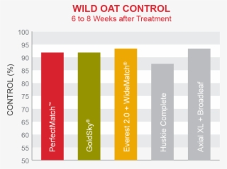 Canada Thistle Control - Carmine #7974704