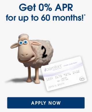 Mattresses By Serta - Serta Sheep #7975838