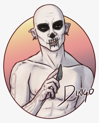 Dingo - Fixe #7976178