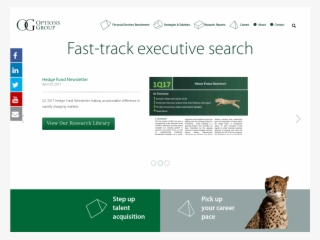 Website History - Domestic Short-haired Cat #7976922