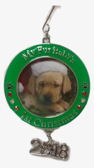 Pet's First Christmas - Dachshund #7977576