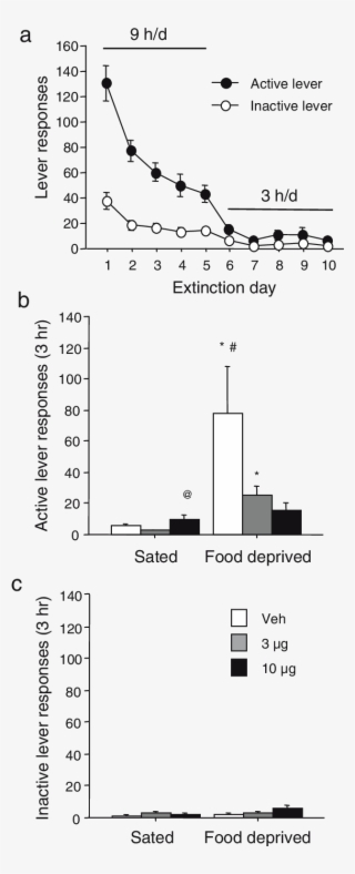 Extinction And Reinstatement Of Heroin Seeking - Diagram #7978015