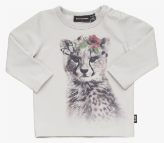 Cheetah #7979499