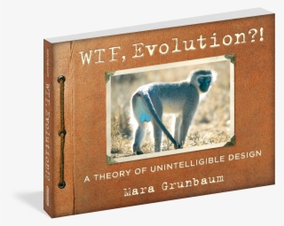 Wtf, Evolution?! A Theory Of Unintelligible Design #7980062