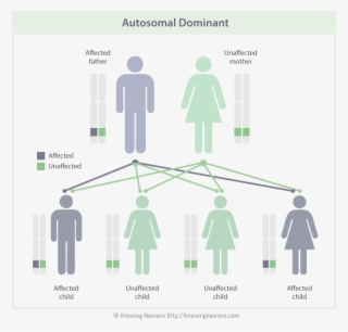 Girl Restroom #7980565