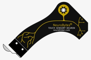 Neurobytes Touch Sensory Neuron - Illustration #7980600