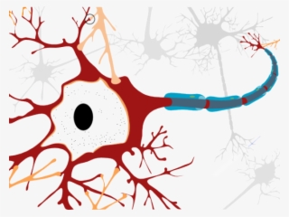 Motor Neurone Disease Cell #7980788 Motor Neurone Disease Cell #7980788