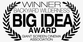 Sk Films - Oval #7981355