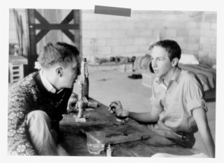 Rauschenberg's Romance With Tiffany's - Robert Rauschenberg And Jasper #7981627