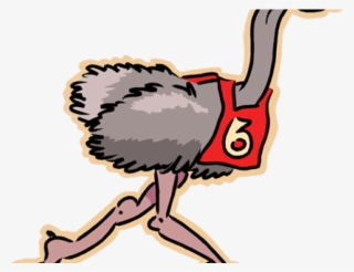 Emu Clipart Run - Emus Playing Football Cartoon #7982623