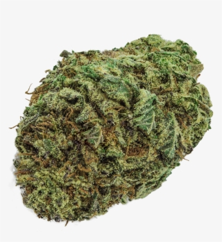 The Product Is Already In The Wishlist Browse Wishlist - Lemon Head Weed Strain #7983960