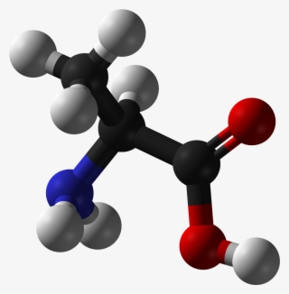 L Alanine 3d Balls - Cd Spectrum Of Enantiomers #7986536