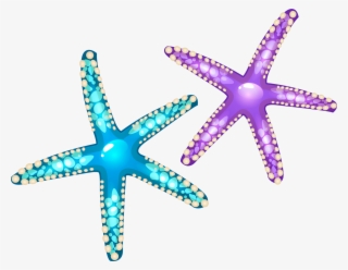 Starfish Euclidean Vector Seashell - Purple Starfish Png #7987555