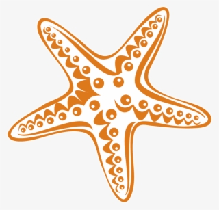 Special Offers - Starfish #7988411