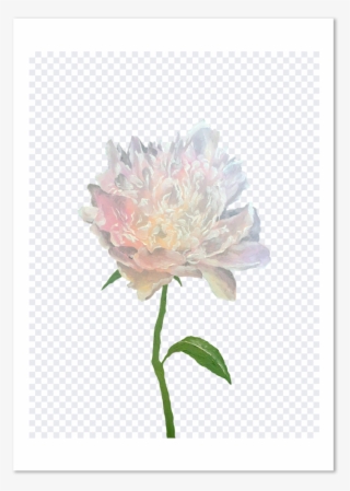 Wild Wild Flower #7988678