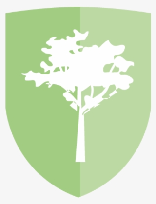 Cool Earth Has Protected Over Nine Hundred Thousand - Tree #7989002