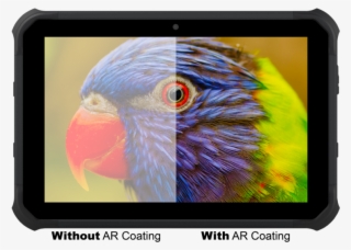 High Resolution Animal #7989349