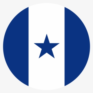 Insígnia Dos Aviões Militares Da Força Aérea Das Honduras - Symbols For Sovereignty #7990964