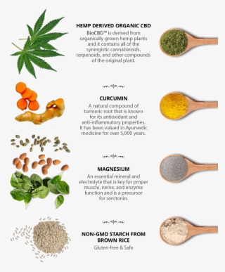 Biocbd ™ Total Body Care Cbd Capsules - Paddle #7991063