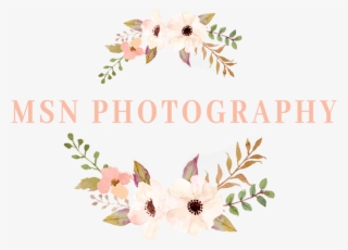 Msn Logo Png #7991291
