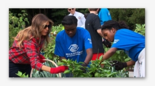 Ashampoo Snap - Melania Trump White House Garden #7992845