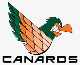 Welcome The Louisville Canards - Duck #7993414