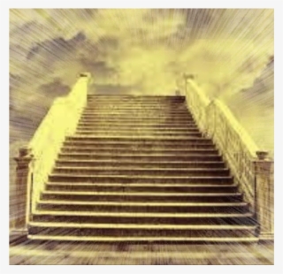 Doge's Palace #7993527