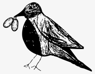 In 2015, La Princesa De Etzatlán And Her Brother Rubén - Illustration #7993941