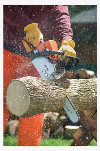 2017 Stihl Ms 250 In Saint Johnsbury, Vermont - Illustration #7994072