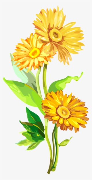 Acuarela Viento Crisantemo Flor Amarillo Dorado Png - English Marigold #7994482