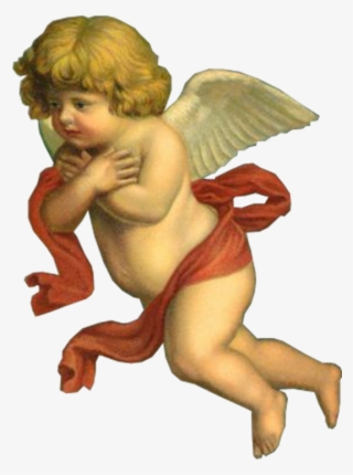 Image Result For Transparent Angels Cherubs - Cherub Transparent #7995553