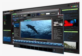 Led-backlit Lcd Display #7995673