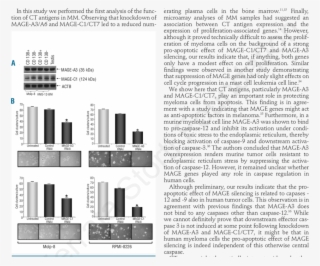 Silencing Of Ct Genes Mage A3 Or Mage C1/ct7 Results - Document #7997105