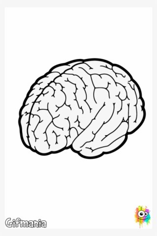 480 X 720 3 - Black And White Brain #7998169