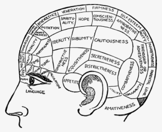 Identifican La Zona Del Cerebro Relacionada Con El - Drawing Of Psychology #7998578