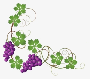 Svg Freeuse Free Grapevine - Uvas De Primera Comunion #80136