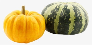 Pumpkin Png #80213