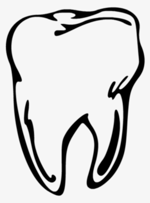 Tooth Line Drawing At Getdrawings - Tand Prent #80304