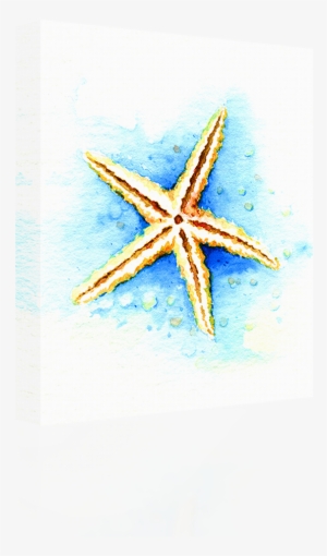 Watercolor - Bild Seestern Aquarell #80428