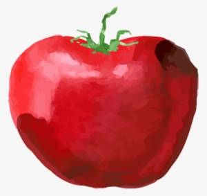 Cherry Tomato - Apple #81069