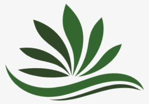 Speed Weed Marijuana Delivery - Speed Weed Delivery #81133 Speed Weed Marijuana Delivery - Speed Weed Delivery #81133